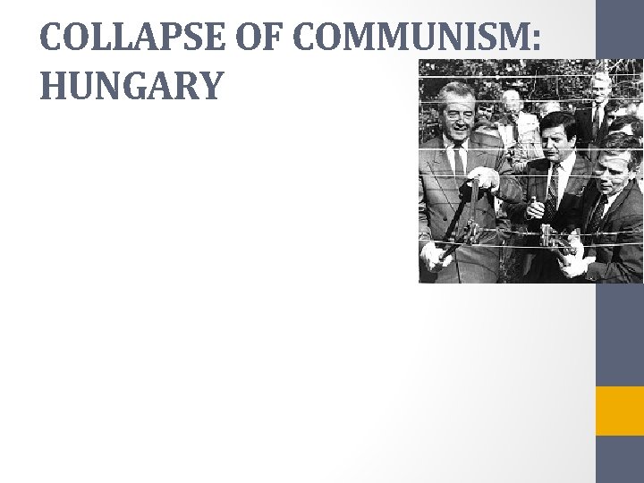 COLLAPSE OF COMMUNISM: HUNGARY 