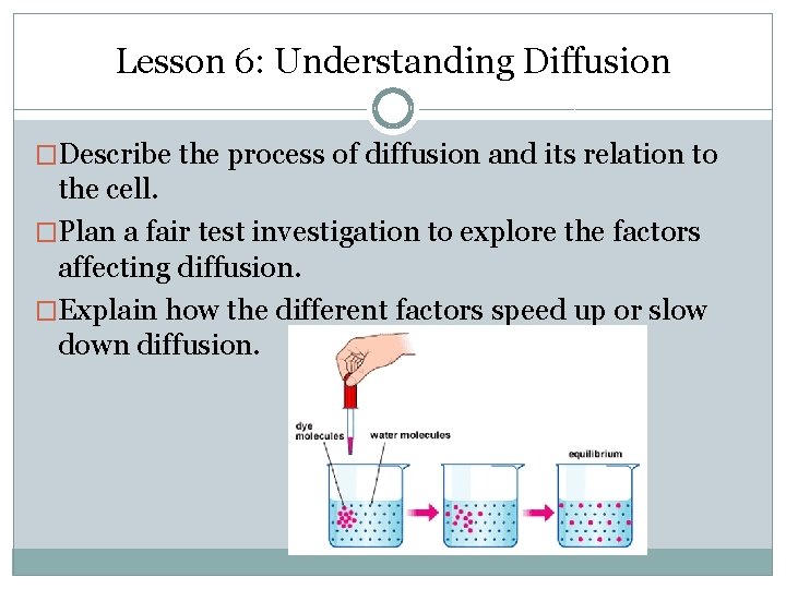 Lesson 6: Understanding Diffusion �Describe the process of diffusion and its relation to the