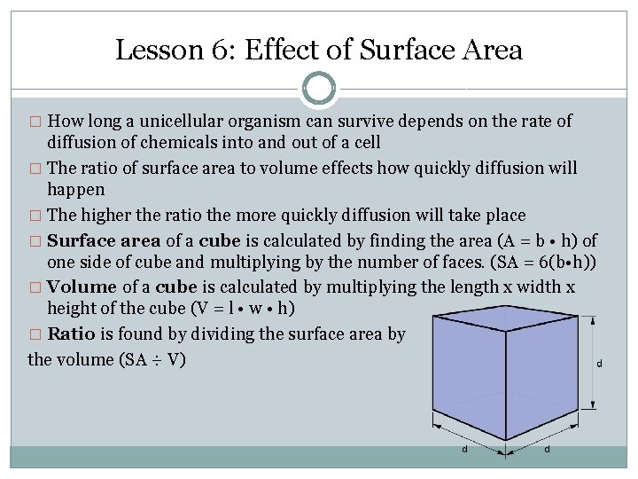 Lesson 6: Effect of Surface Area � How long a unicellular organism can survive