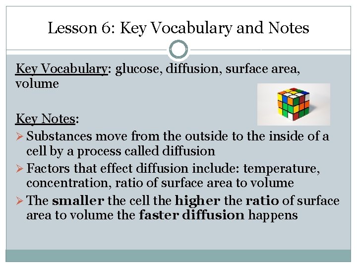 Lesson 6: Key Vocabulary and Notes Key Vocabulary: glucose, diffusion, surface area, volume Key
