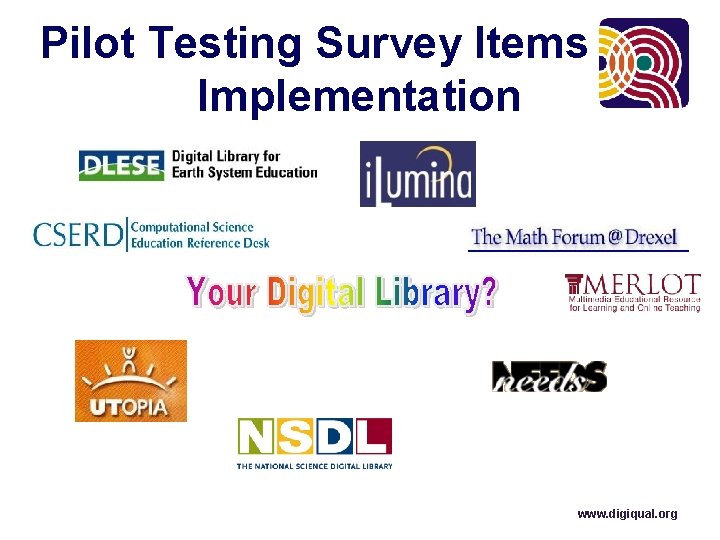 Pilot Testing Survey Items and Implementation www. digiqual. org 
