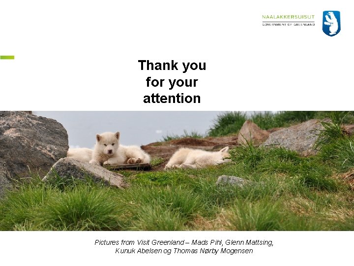 Thank you for your attention Pictures from Visit Greenland – Mads Pihl, Glenn Mattsing,