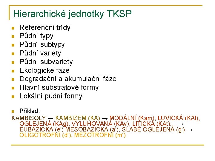 Hierarchické jednotky TKSP n n n n n Referenční třídy Půdní typy Půdní subtypy