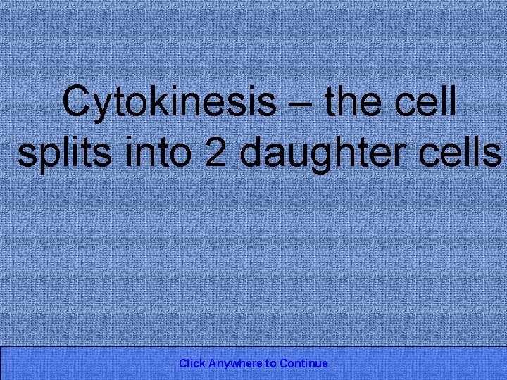 Cytokinesis – the cell splits into 2 daughter cells Click Anywhere to Continue 