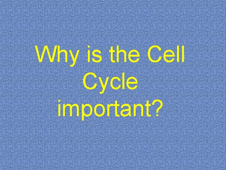 Why is the Cell Cycle important? 