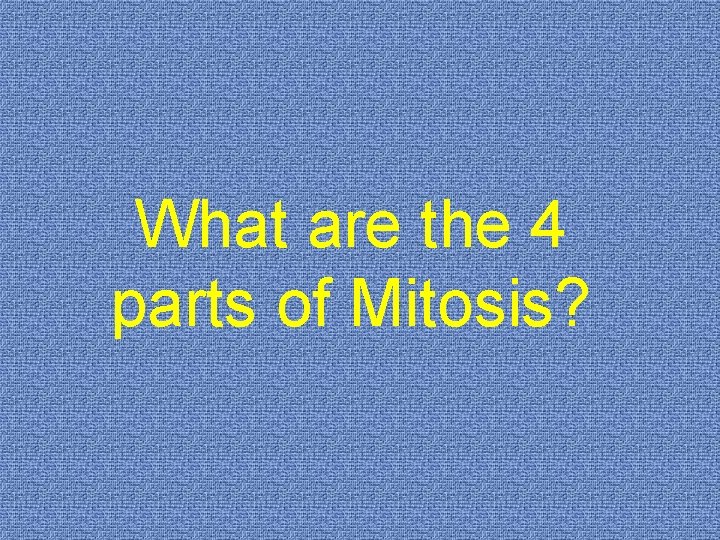 What are the 4 parts of Mitosis? 