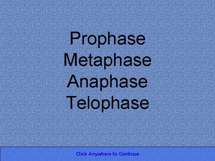 Prophase Metaphase Anaphase Telophase Click Anywhere to Continue 