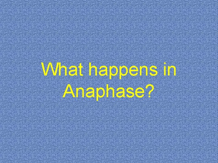 What happens in Anaphase? 