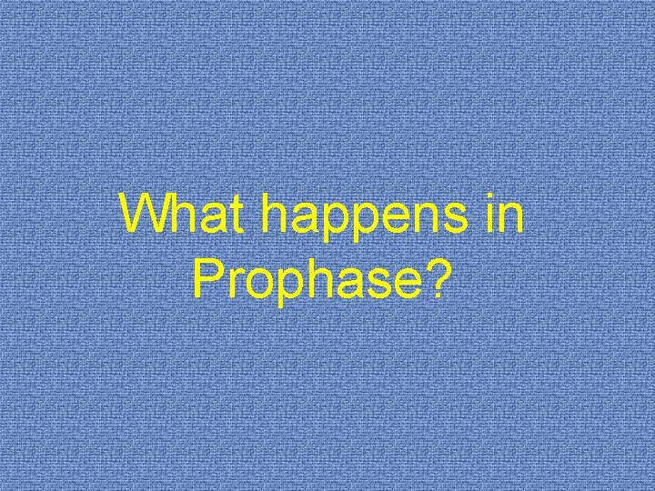 What happens in Prophase? 