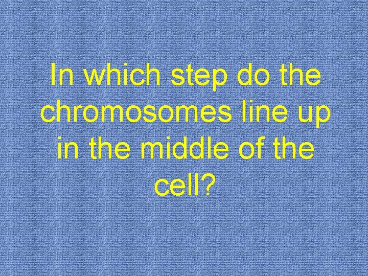 In which step do the chromosomes line up in the middle of the cell?