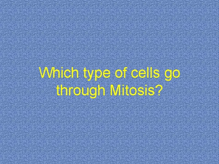 Which type of cells go through Mitosis? 