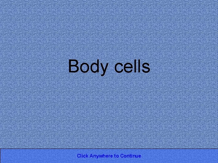 Body cells Click Anywhere to Continue 