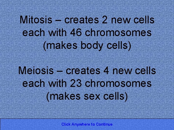 Mitosis – creates 2 new cells each with 46 chromosomes (makes body cells) Meiosis