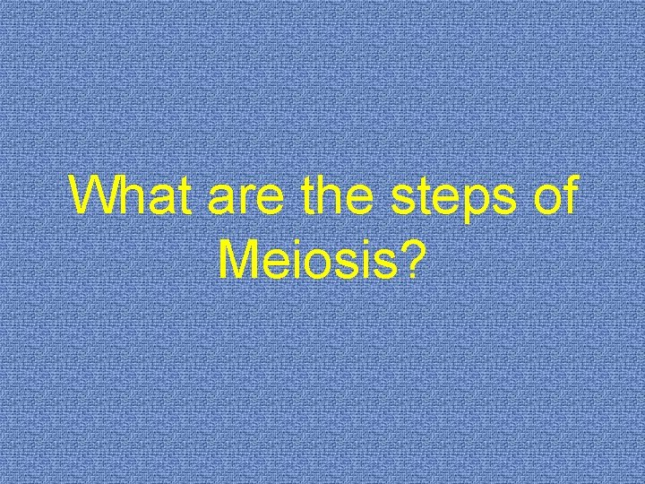What are the steps of Meiosis? 