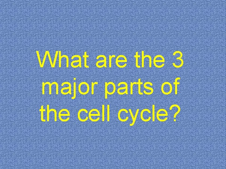What are the 3 major parts of the cell cycle? 