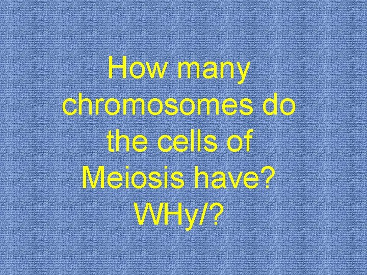 How many chromosomes do the cells of Meiosis have? WHy/? 