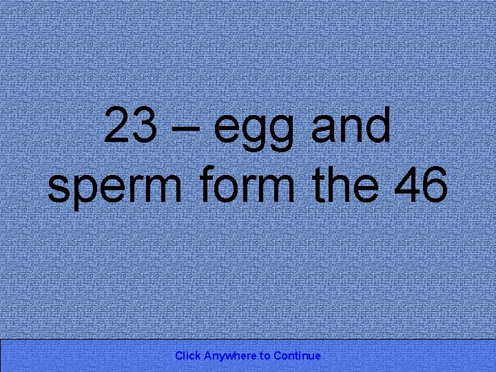 23 – egg and sperm form the 46 Click Anywhere to Continue 