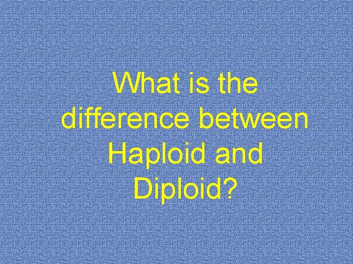 What is the difference between Haploid and Diploid? 