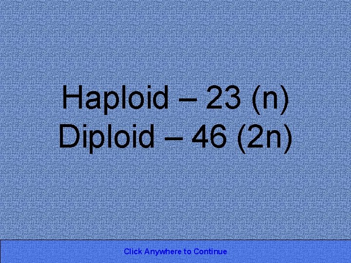 Haploid – 23 (n) Diploid – 46 (2 n) Click Anywhere to Continue 