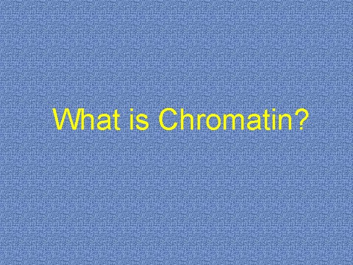 What is Chromatin? 