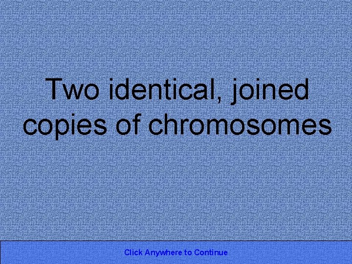 Two identical, joined copies of chromosomes Click Anywhere to Continue 