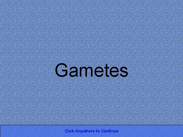 Gametes Click Anywhere to Continue 
