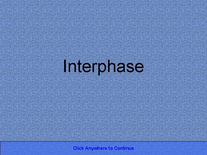 Interphase Click Anywhere to Continue 