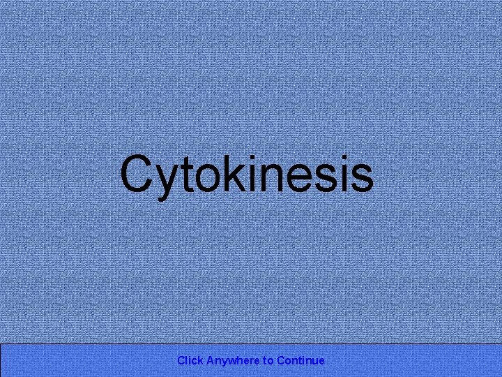 Cytokinesis Click Anywhere to Continue 