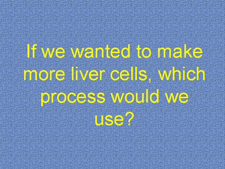 If we wanted to make more liver cells, which process would we use? 