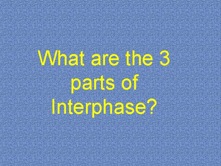 What are the 3 parts of Interphase? 