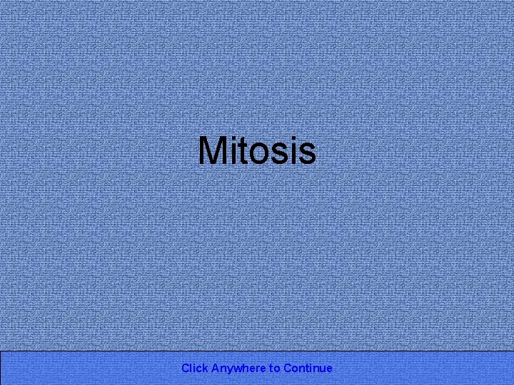 Mitosis Click Anywhere to Continue 