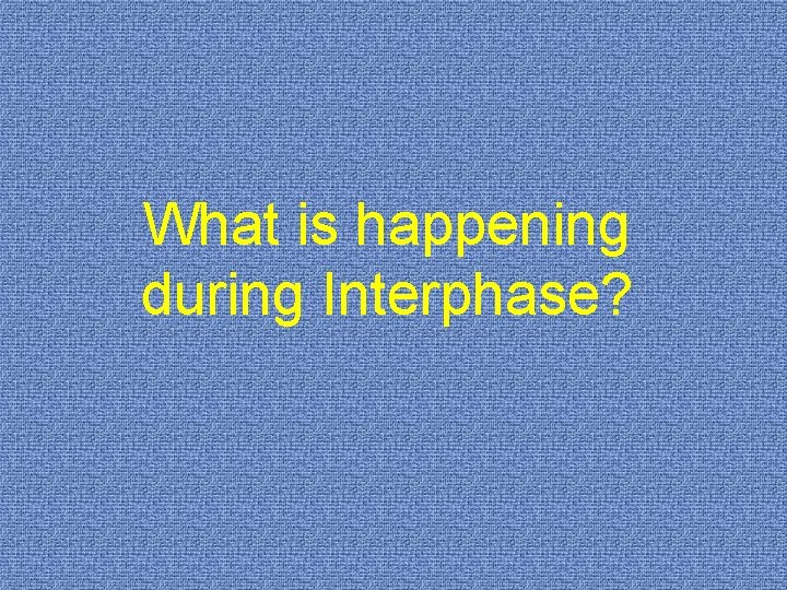 What is happening during Interphase? 