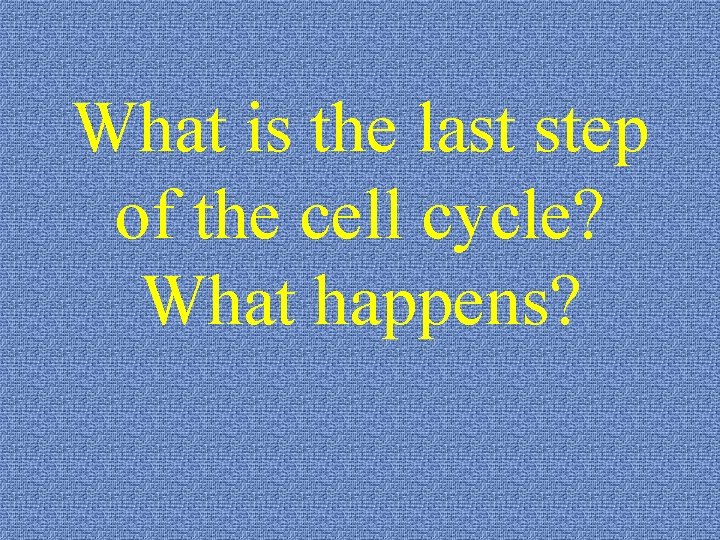 What is the last step of the cell cycle? What happens? 