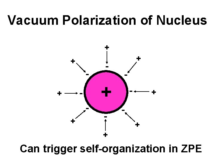 Vacuum Polarization of Nucleus + + - + - + - - + +