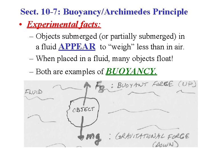 Sect. 10 -7: Buoyancy/Archimedes Principle • Experimental facts: – Objects submerged (or partially submerged)