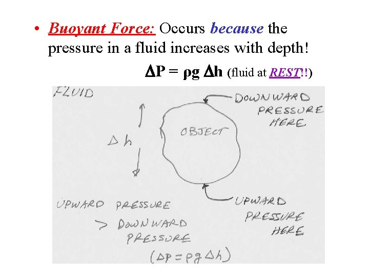  • Buoyant Force: Occurs because the pressure in a fluid increases with depth!