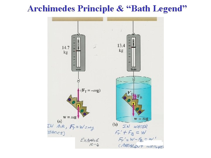 Archimedes Principle & “Bath Legend” 