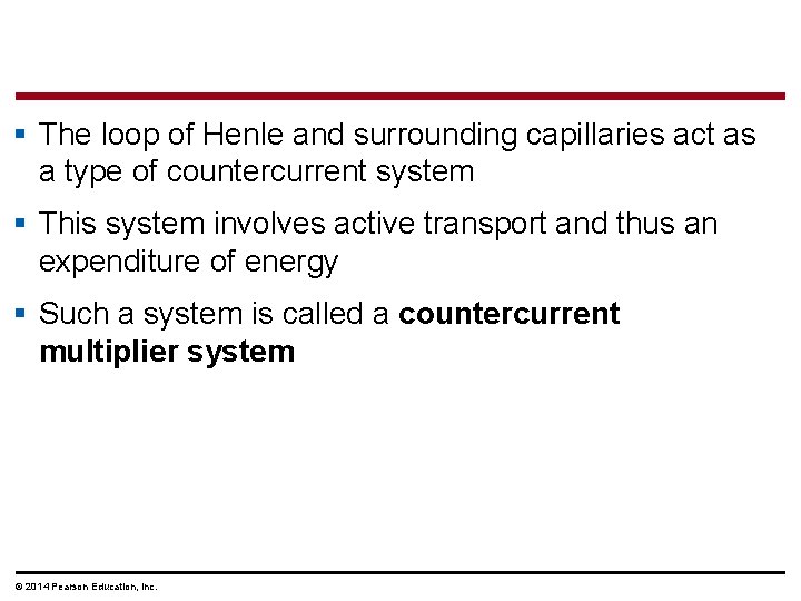 § The loop of Henle and surrounding capillaries act as a type of countercurrent