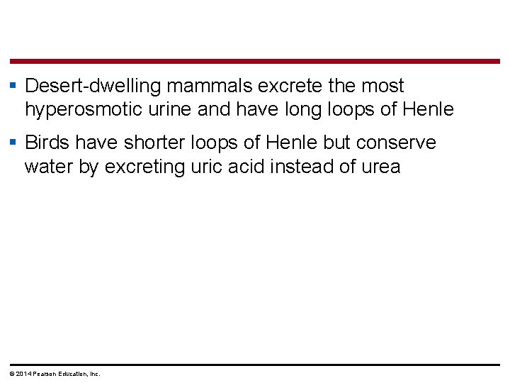 § Desert-dwelling mammals excrete the most hyperosmotic urine and have long loops of Henle