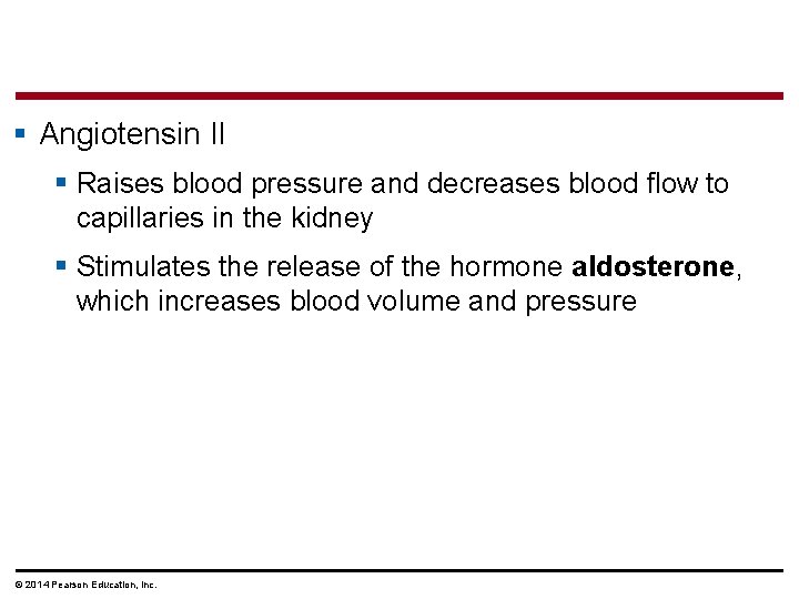 § Angiotensin II § Raises blood pressure and decreases blood flow to capillaries in