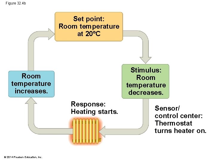 Figure 32. 4 b Set point: Room temperature at 20 C Stimulus: Room temperature