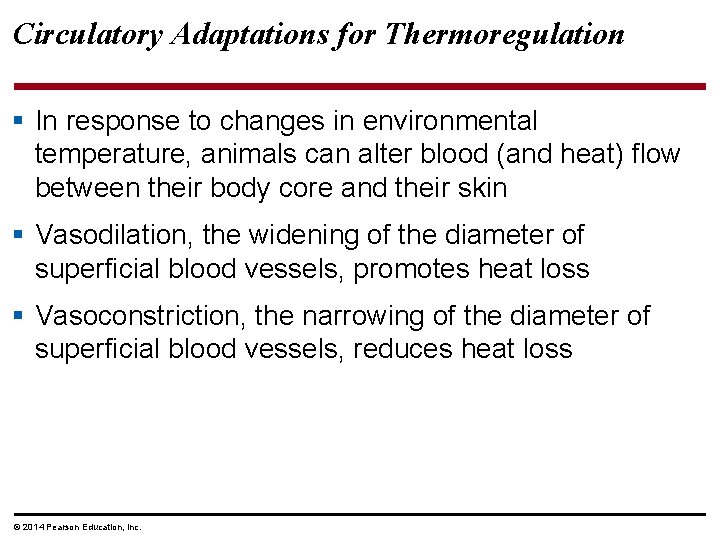 Circulatory Adaptations for Thermoregulation § In response to changes in environmental temperature, animals can