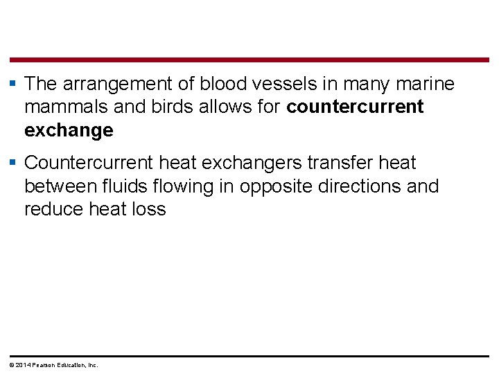 § The arrangement of blood vessels in many marine mammals and birds allows for
