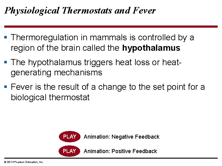 Physiological Thermostats and Fever § Thermoregulation in mammals is controlled by a region of