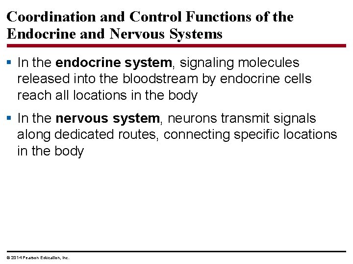 Coordination and Control Functions of the Endocrine and Nervous Systems § In the endocrine