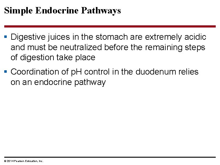 Simple Endocrine Pathways § Digestive juices in the stomach are extremely acidic and must