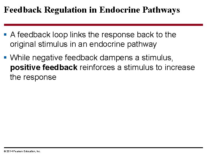 Feedback Regulation in Endocrine Pathways § A feedback loop links the response back to