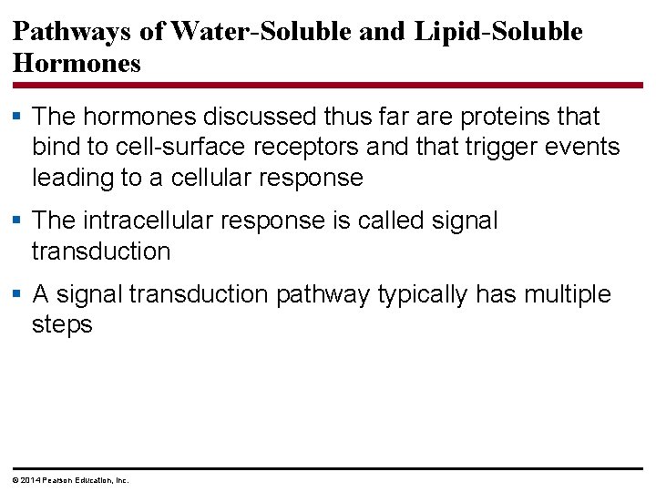 Pathways of Water-Soluble and Lipid-Soluble Hormones § The hormones discussed thus far are proteins