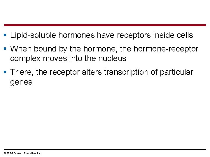 § Lipid-soluble hormones have receptors inside cells § When bound by the hormone, the