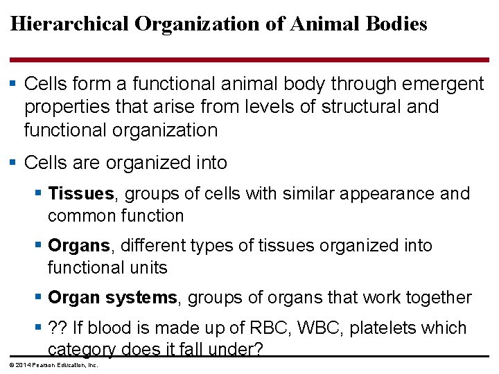 Hierarchical Organization of Animal Bodies § Cells form a functional animal body through emergent